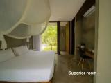 Superior room with balcony and with garden view