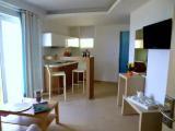 1 Bedroom Basement Apartment