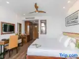 Deluxe Double room with city view