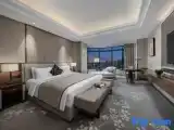 Premier Suite