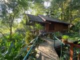 Standard Double room with garden view