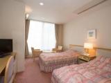 Standard Twin room with mountain view