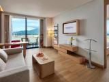 Premier Suite