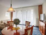 1 Bedroom Apartment with city view