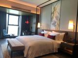 Deluxe Double Club room with lake view