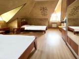 Standard Double Attic room