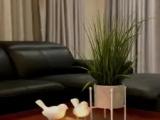 3 Bedrooms Apartment