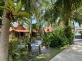 Deluxe Bungalow with garden view