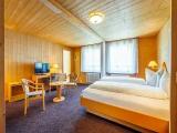 Standard Double room with mountain view