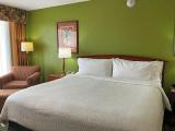 1 Bedroom Quadruple Suite with balcony