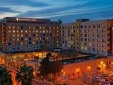 1 Bedroom Double Suite