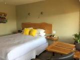 Standard Double room with partial sea view