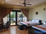 Standard Quadruple room with pool view