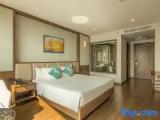 Deluxe Double room with view