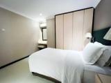 Deluxe Apartment with city view