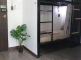 Bed in Dorm