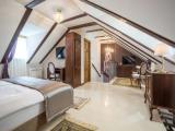 Deluxe Suite with city view