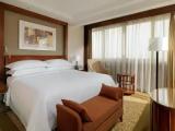 Executive Club Lounge Access Partial River view Double Suite with balcony