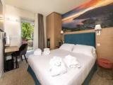 Superior Double room with balcony and with garden view