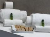 Premium Double room with balcony and with garden view