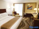Standard Double room with garden view