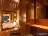 Standard Double room with garden view