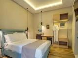 Deluxe Double room with garden view