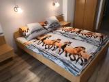 Standard Triple room with balcony