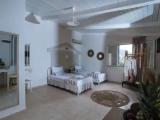 Standard Quadruple Studio with garden view