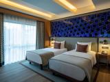 Twin Junior Suite