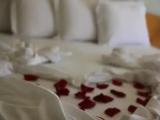 Superior Single Suite