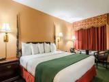 1 Bedroom Standard room