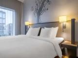 Single Junior Suite
