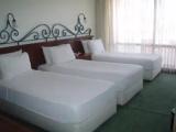 Standard Double room with balcony and with sea view