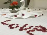 Comfort Single room