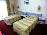 Standard Twin room with garden view