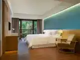 Deluxe Premier Double room with balcony and with garden view
