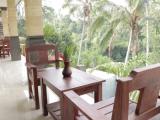 Deluxe Double room with garden view
