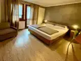 Standard Double room with balcony and with panoramic view