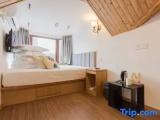 Standard Attic room