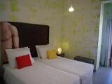 Standard Double room with mountain view