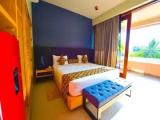 Superior Double room with balcony and with garden view