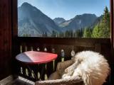 Superior Single room with balcony and with mountain view