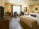 1 Bedroom Single Suite