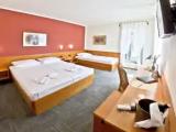 1 Bedroom Standard Triple room with partial sea view