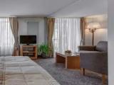 Deluxe room with balcony and with mountain view