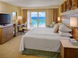 Standard Double room with balcony and with ocean view