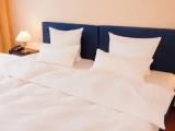 Standard Double room with mountain view