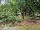 Standard Double room with balcony and with river view