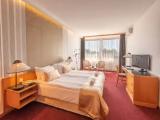 Suite with park view